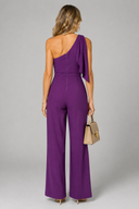 Violet Muse Jumpsuit